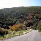 DSCN0061