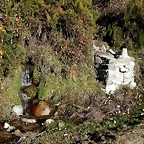DSCN6890