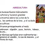 AGRICULTURA CHIBCHA