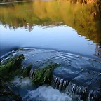DSCN1213