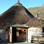 DSCN6757