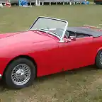 Austin Healey Cabuees'09