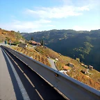 DSCN9781