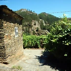 DSCN7778