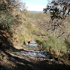 DSCN6823