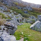 DSCN9487