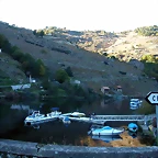 DSCN6486