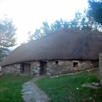 DSCN8089