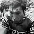 1977-MERCKX-FIAT