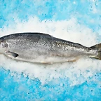 AP027-Salmon_entero