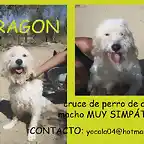 RAGON Sevilla