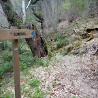 DSCN0740