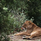 Zoo Lunaret + Sigean 18 i 19-09-10 652