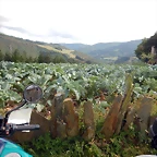 DSCN4394