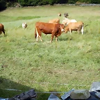 DSCN4408