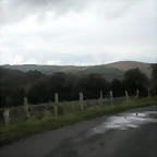 DSCN8377