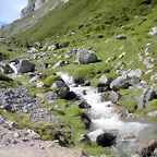 DSCN8194