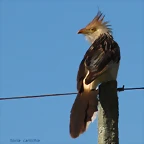 IMG_9892-1
