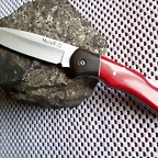 SAM_0376
