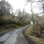 DSCN4766