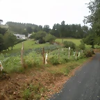 DSCN8354
