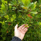 DSCN9805