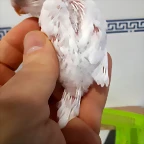 20190518_142255
