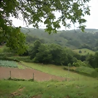 DSCN4738