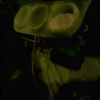 DSC00115