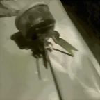 DSC00117