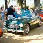 Austin Healey