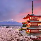 Fujiyoshida-Japan-at-Chureito-Pagoda-and-Mt.-Fuji-in-the-spring-with-cherry-blossoms