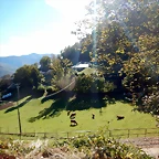 DSCN0250