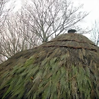 DSCN0940
