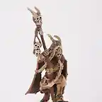 Beastmen Bray shaman (1)