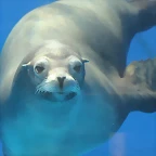 Zoo de Barcelona 12-03-12 422