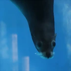 Zoo de Barcelona 12-03-12 424
