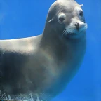 Zoo de Barcelona 12-03-12 431