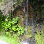 DSCN2231