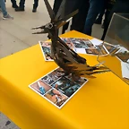 IMG_20180530_180434