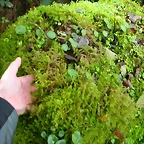 DSCN5753