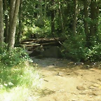 P8110028