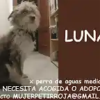 LUNA Crdoba