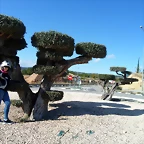 SAM_5226