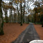 DSCN0775
