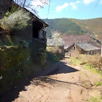 DSCN9101