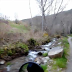 DSCN3334