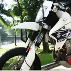 drz blanca