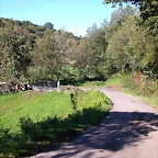 DSCN5508