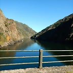 DSCN0907